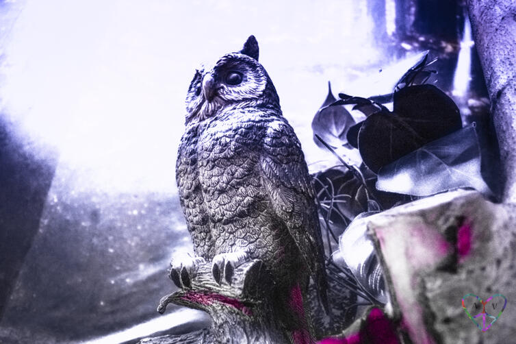 Another decorative owl in Conundrum Escape Rooms' Cabin in the Woods game