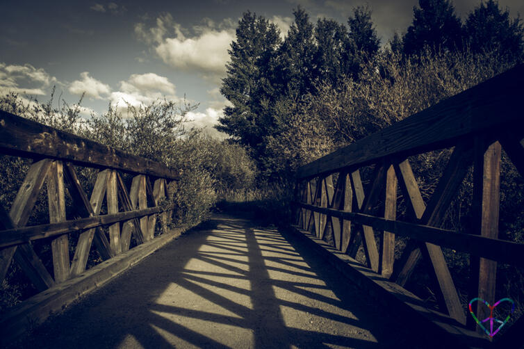 Bridge at Meadow Creek Park